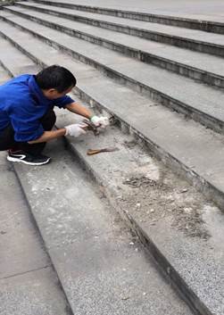 微信图片_20171109113059